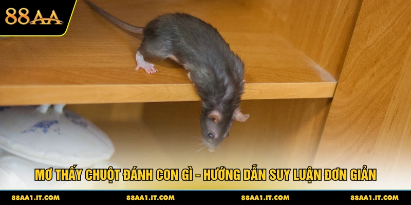 Mơ thấy chuột đánh con gì